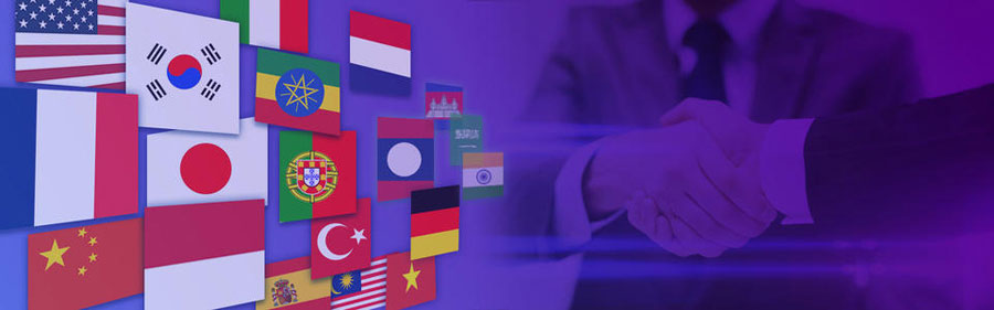 湛江小语种网站建设  第2张